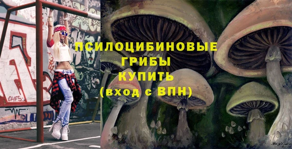 ГАЛЛЮЦИНОГЕННЫЕ ГРИБЫ Баксан