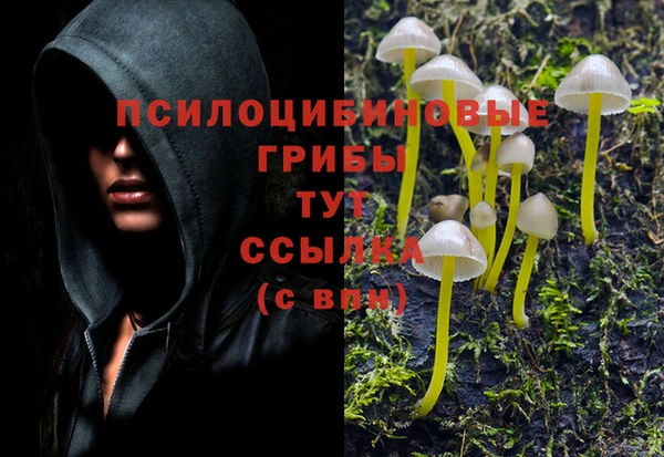 ГАЛЛЮЦИНОГЕННЫЕ ГРИБЫ Баксан