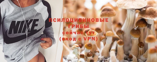 apvp Балабаново