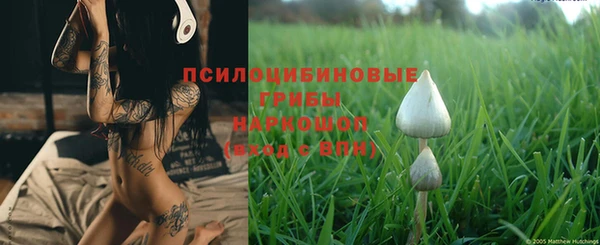 apvp Балабаново